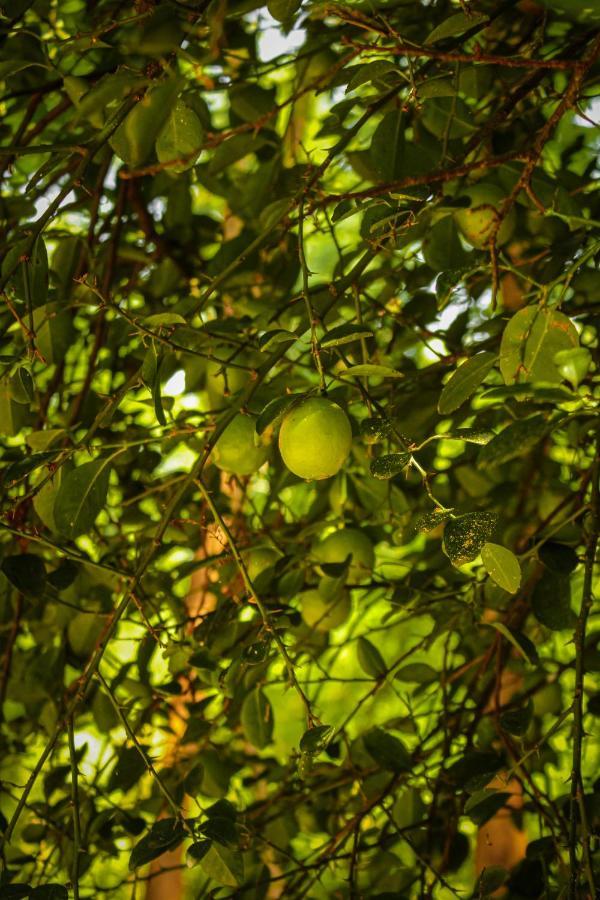 Panna Tiger Resort- Riverside Property Rājgarh エクステリア 写真