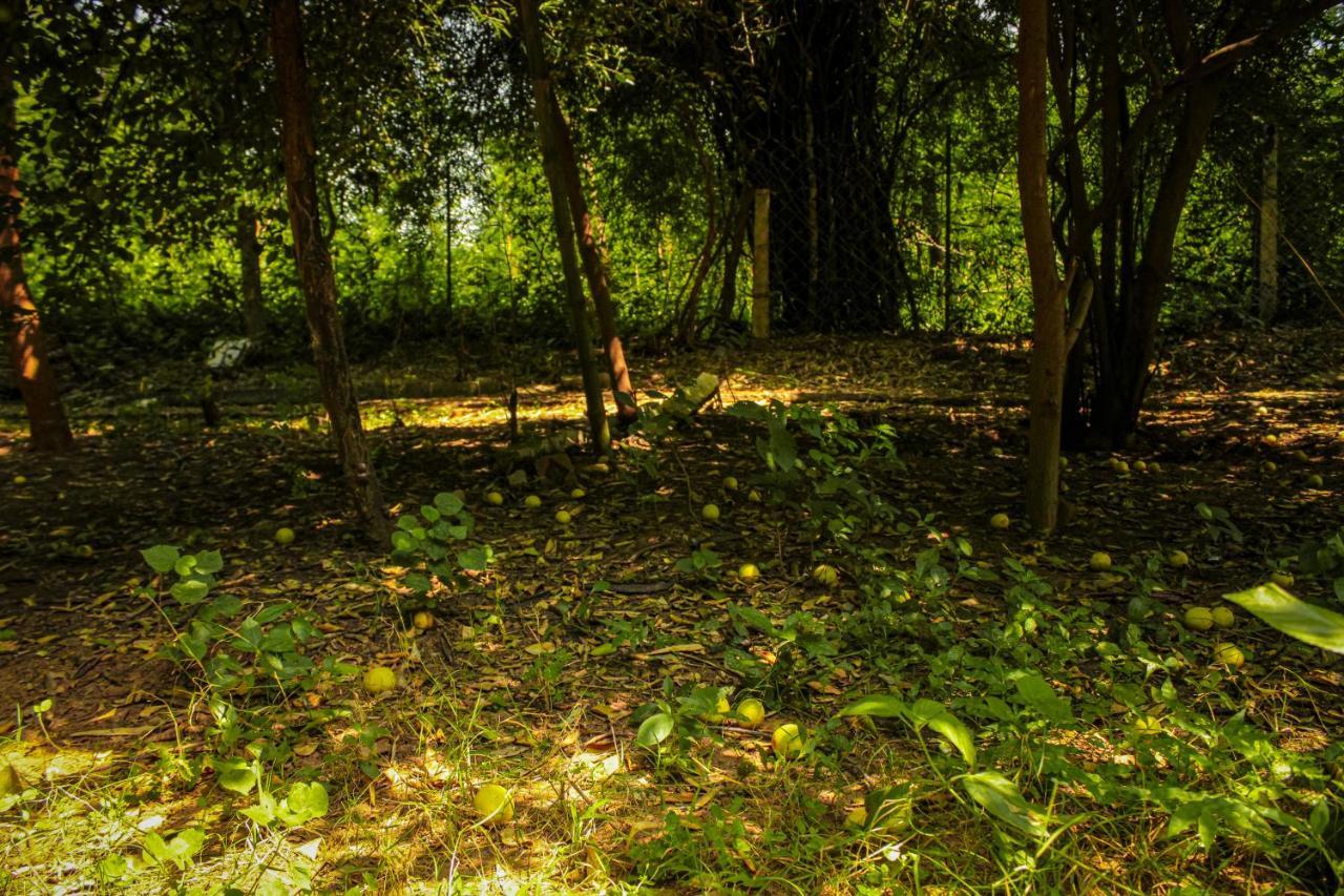 Panna Tiger Resort- Riverside Property Rājgarh エクステリア 写真