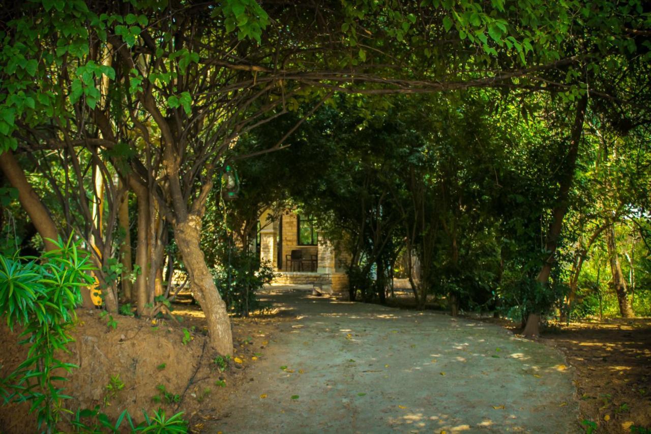 Panna Tiger Resort- Riverside Property Rājgarh エクステリア 写真