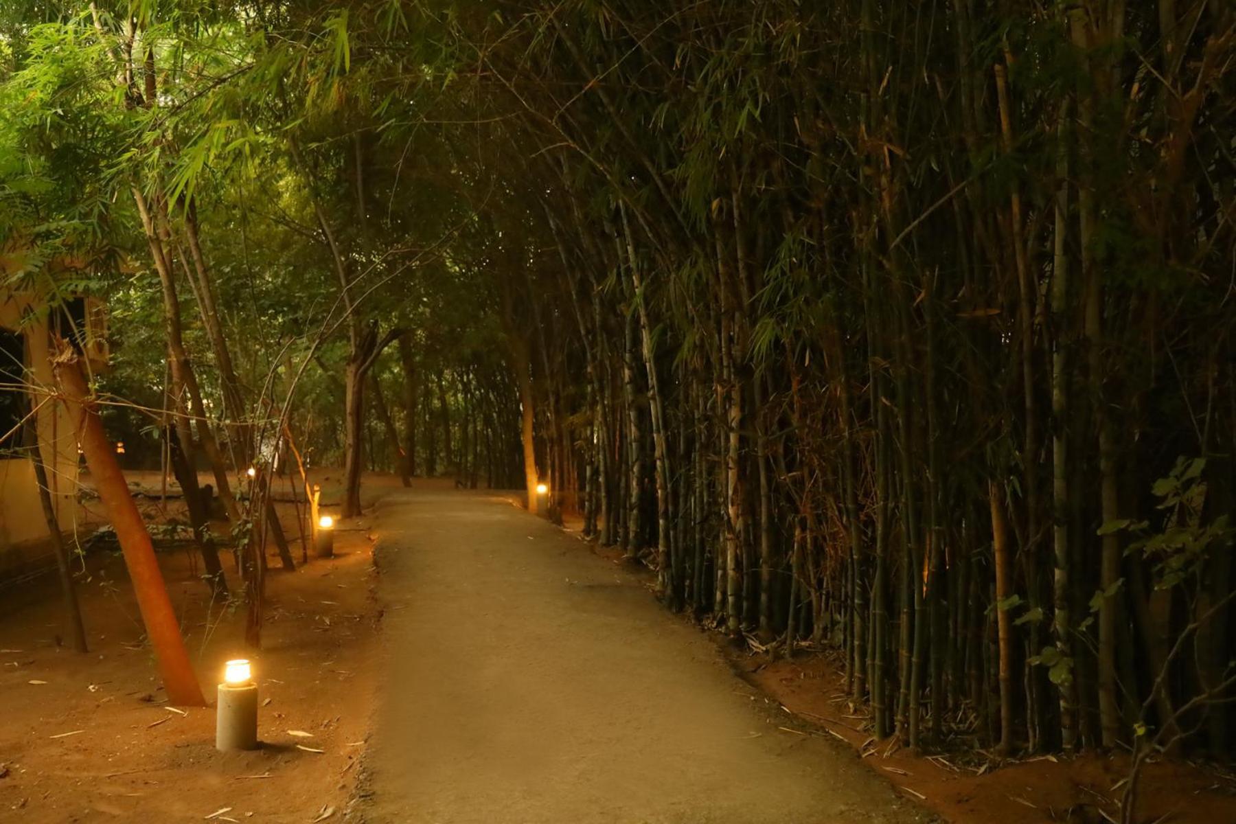 Panna Tiger Resort- Riverside Property Rājgarh エクステリア 写真